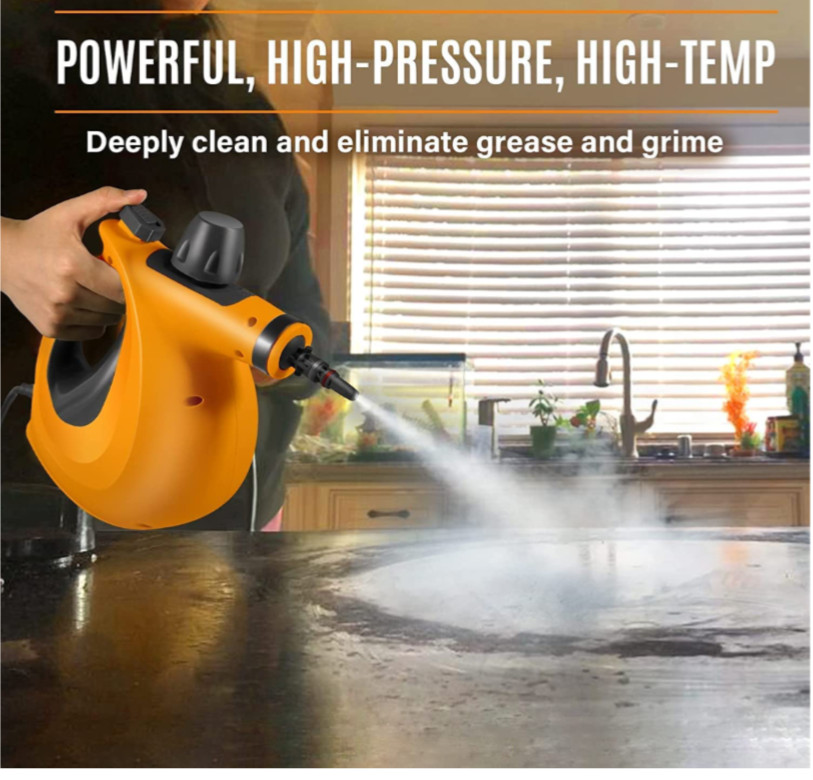 Bed Bug Steamer Kill Bed Bugs & Eggs Kills Easy Fast Non Toxic Child Safe Method