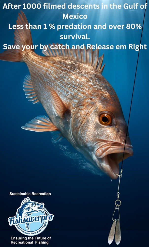 Fish descending release device compact NOAA compliant for deep drops