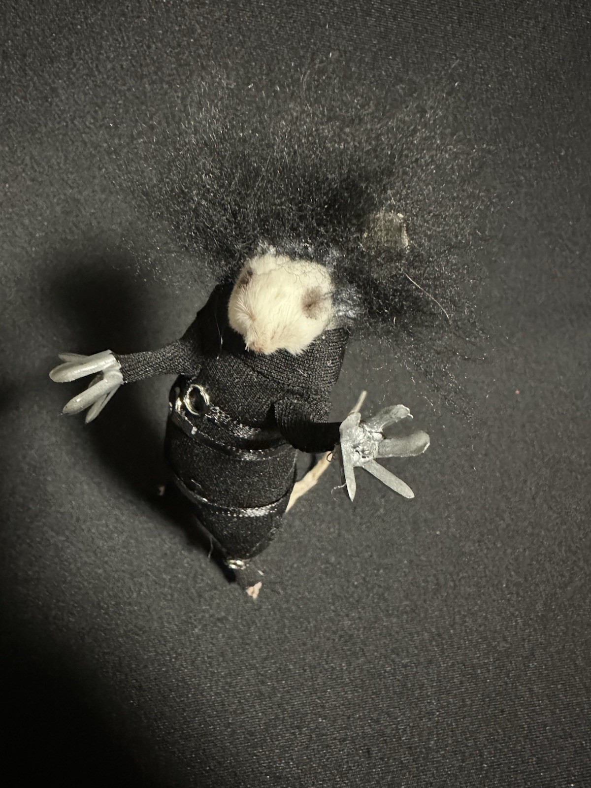 Taxidermy Mouse Edward Scissorhands Mouse Oddities Curiosities Taxidermy Art