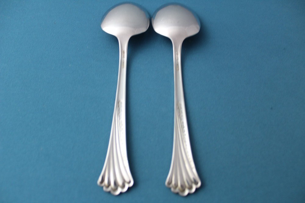 Oneida SPRING GLEN Serving Tablespoon (2pc Set) Stainless Canada 8"