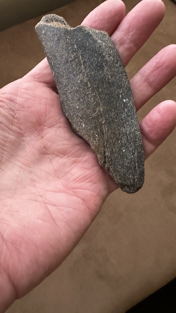 Fossil Rib Bone