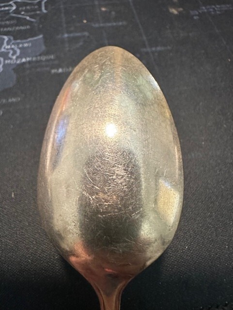 WM A. Rogers A1 Plus : Oneida LTD : Malibu : Silver Plate 6” Spoon : TX42