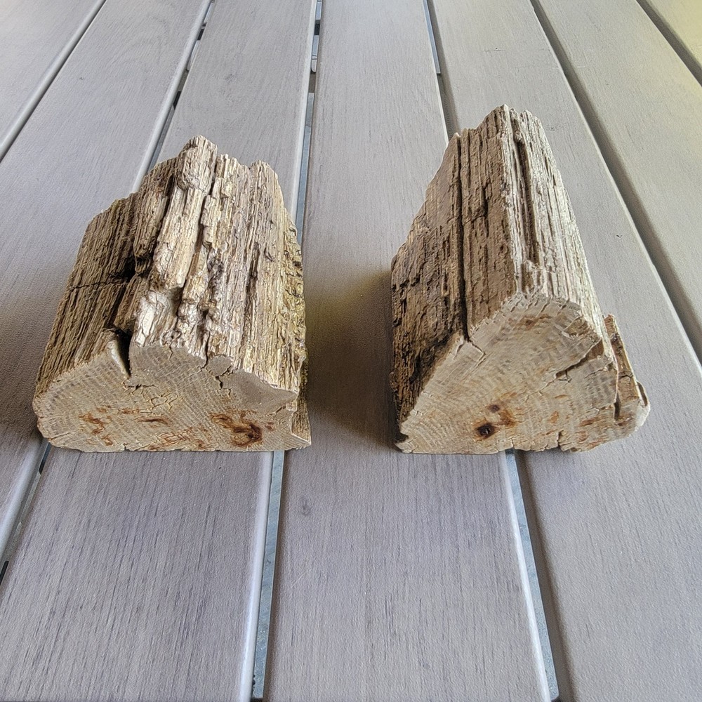 Book Ends Petrified Wood