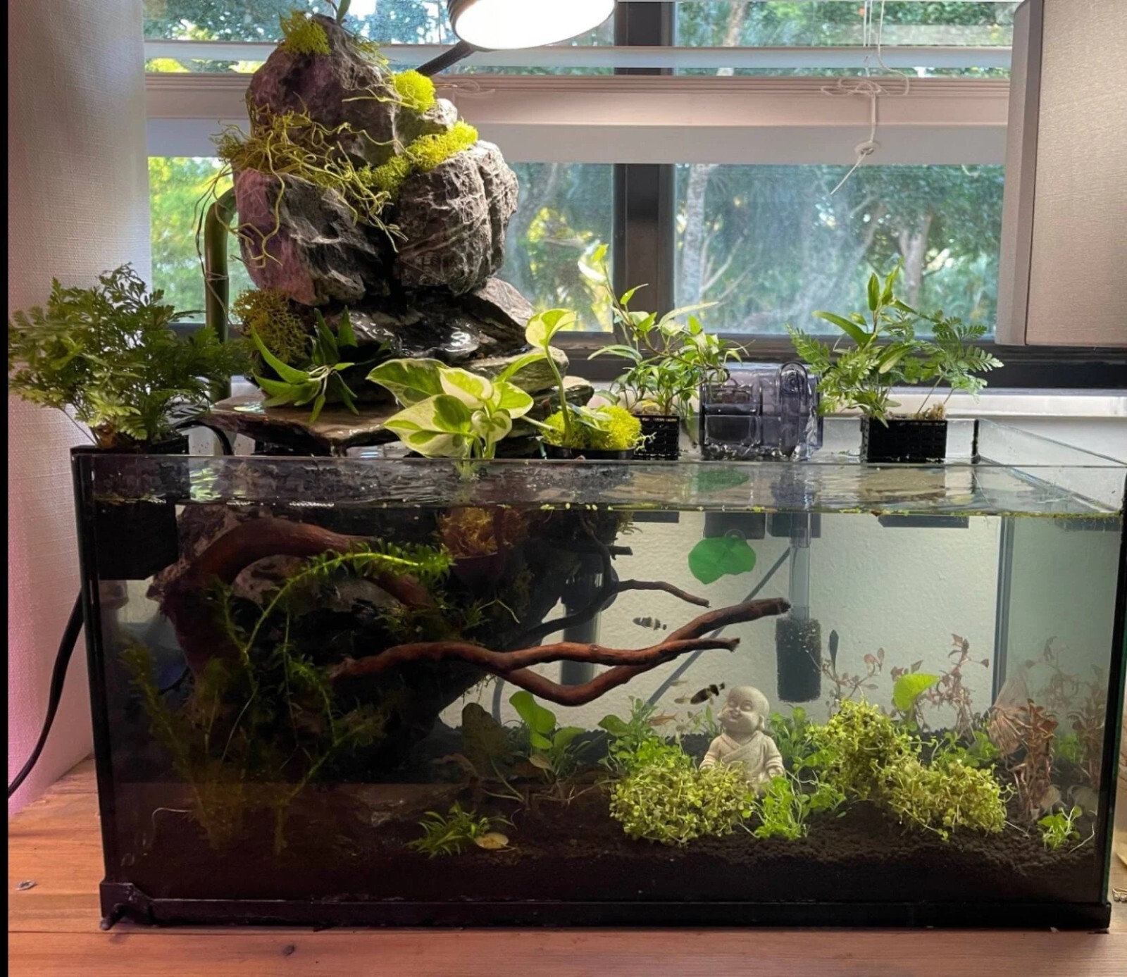 Fishkeeping3D™ Hanging Planter for Aquarium Emersed Plants Aquatic Plant Pot