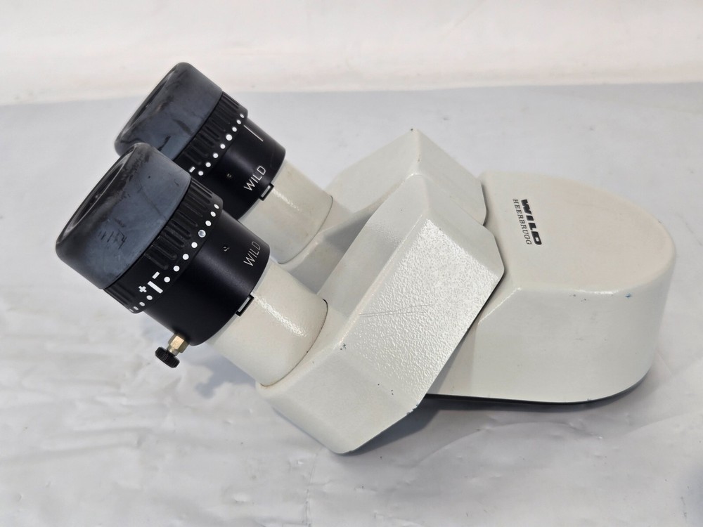 Wild Heerburg Microscope Binocular Head 25x9.5B