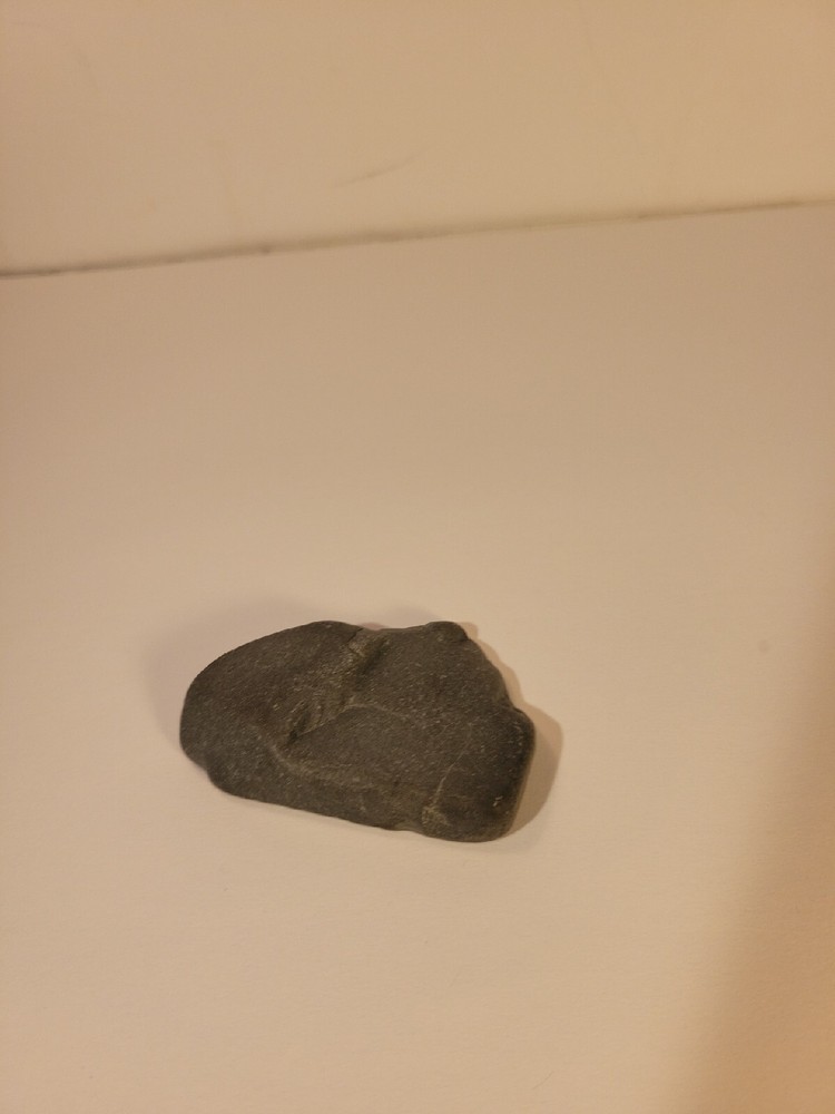 Fine Grained Graywacke Specimen