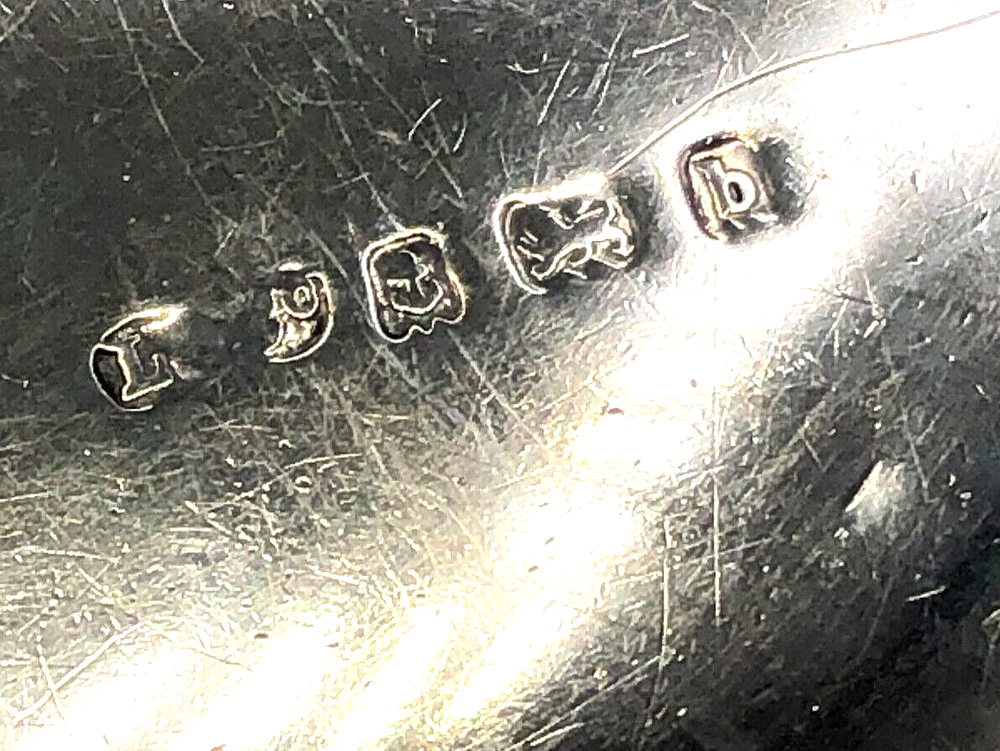 Antique Sterling Silver Eyeglass Case with Chatelain, English Sterling Hallmarks