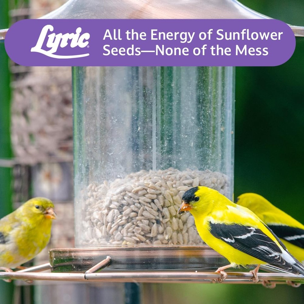 Sunflower Kernels Wild Bird Seed for Outside 80 fl oz