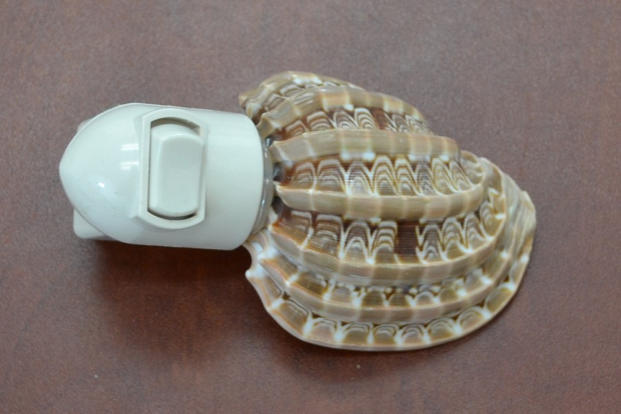 HARPA SEA SHELL NIGHTLIGHT BATHROOM KITCHEN #7189