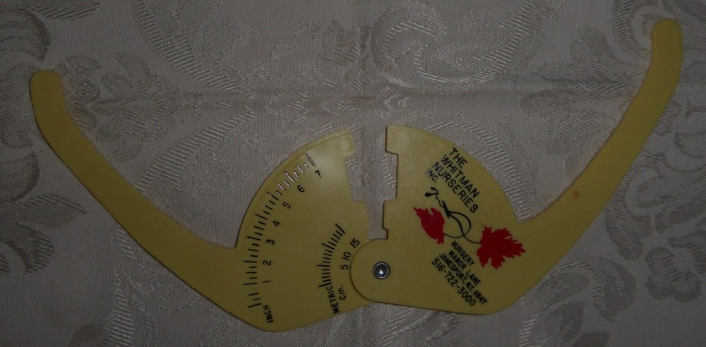 Vintage Caliper - Whitman Nurseries