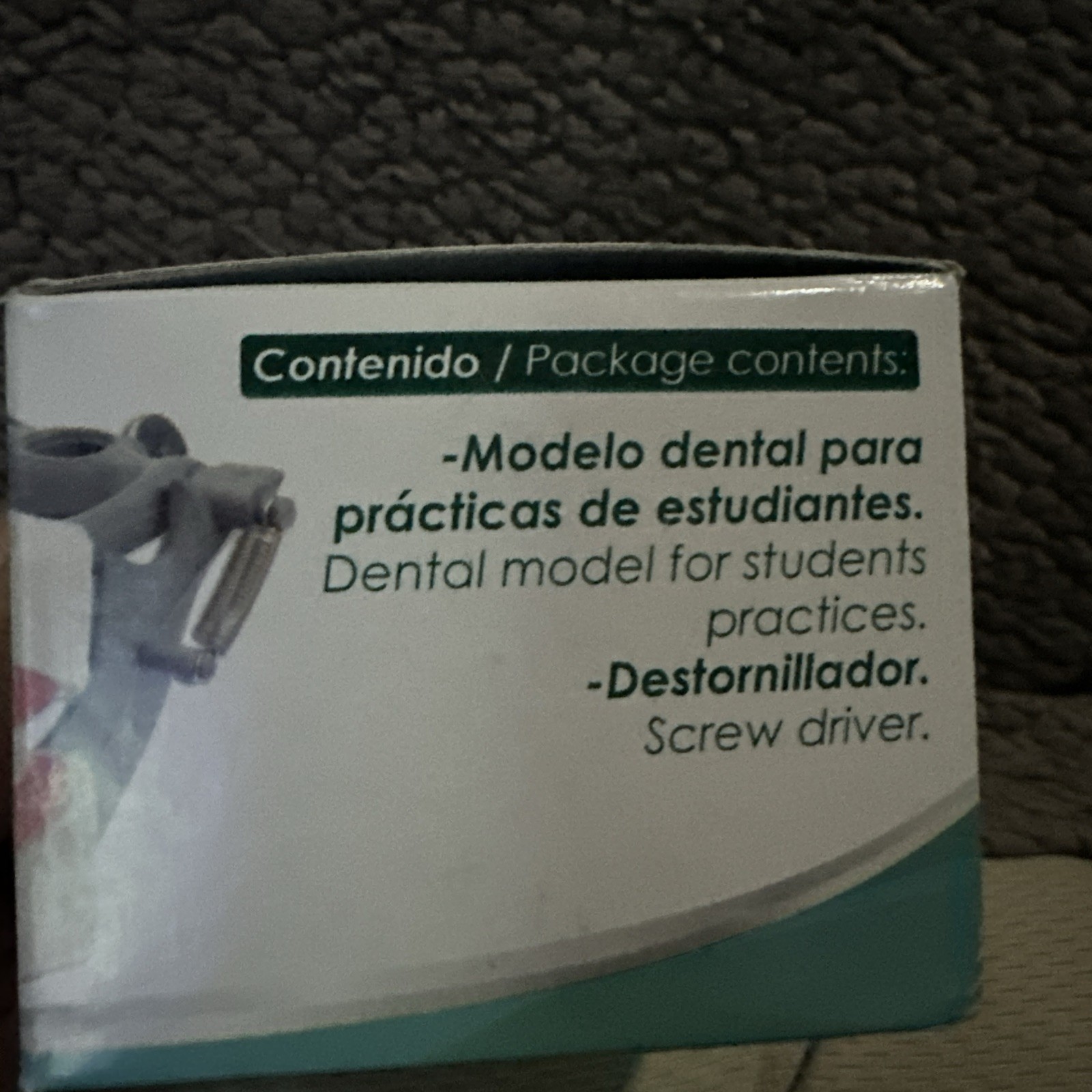 Dental Anatomy Typodont Educational Model DM-860 with Columbia Removable Teeth..