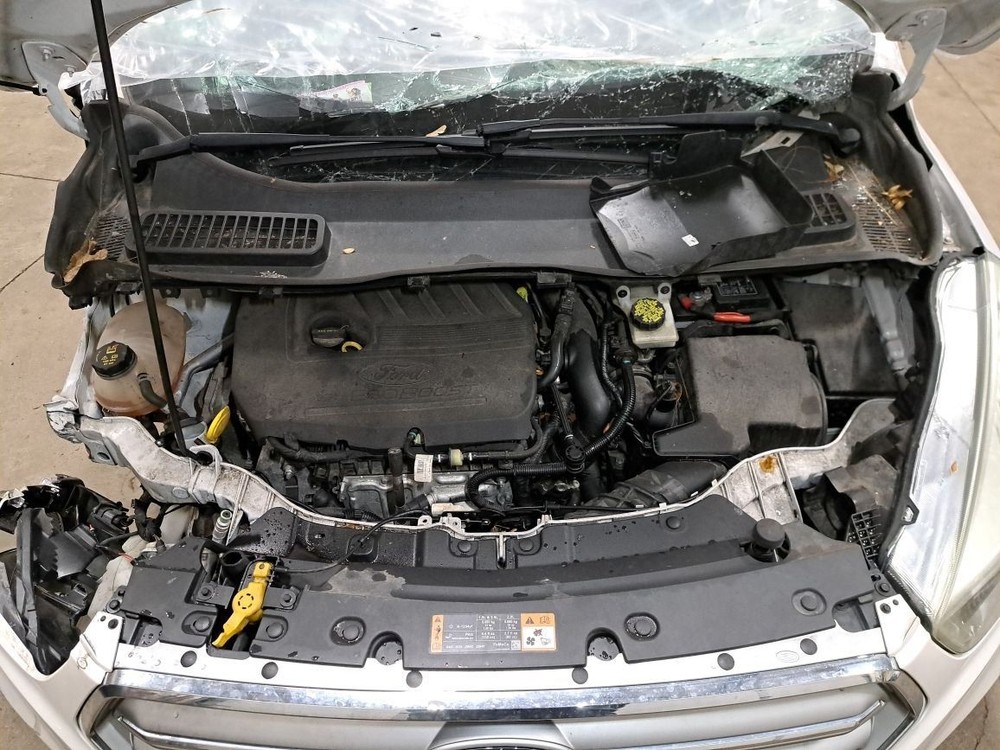 Rear 2017 Escape Camera/Projector Sku#4370644