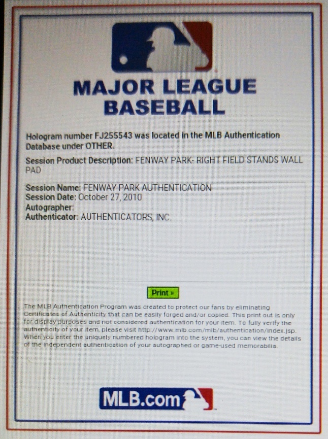 ⚾ FENWAY PARK USED WALL PAD DISPLAY Green Monster Boston Red Sox Ted Williams ⚾