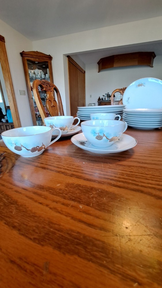 Fukagawa Arita Handpainted 41 Piece Grouping Dinnerware Pine Cone Pattern #904