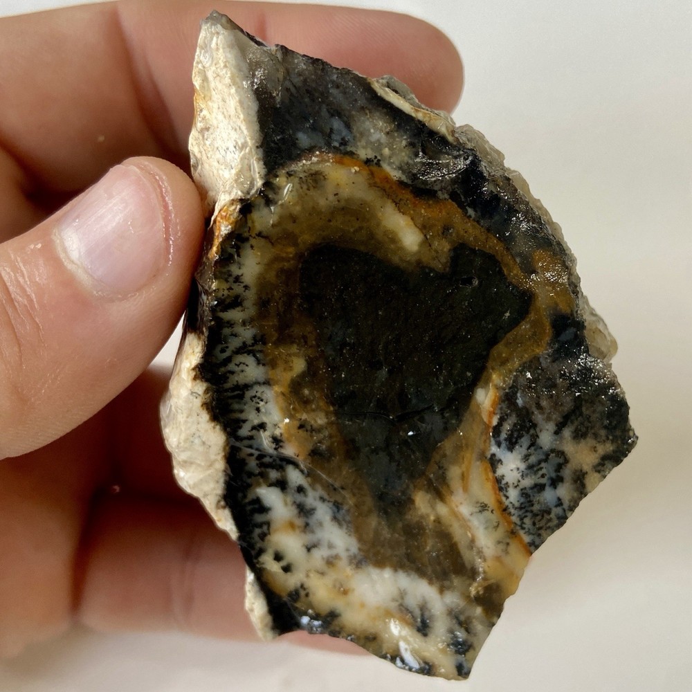 Natural Dendritic Opal Stunning Rough Stone 7.67 Oz!
