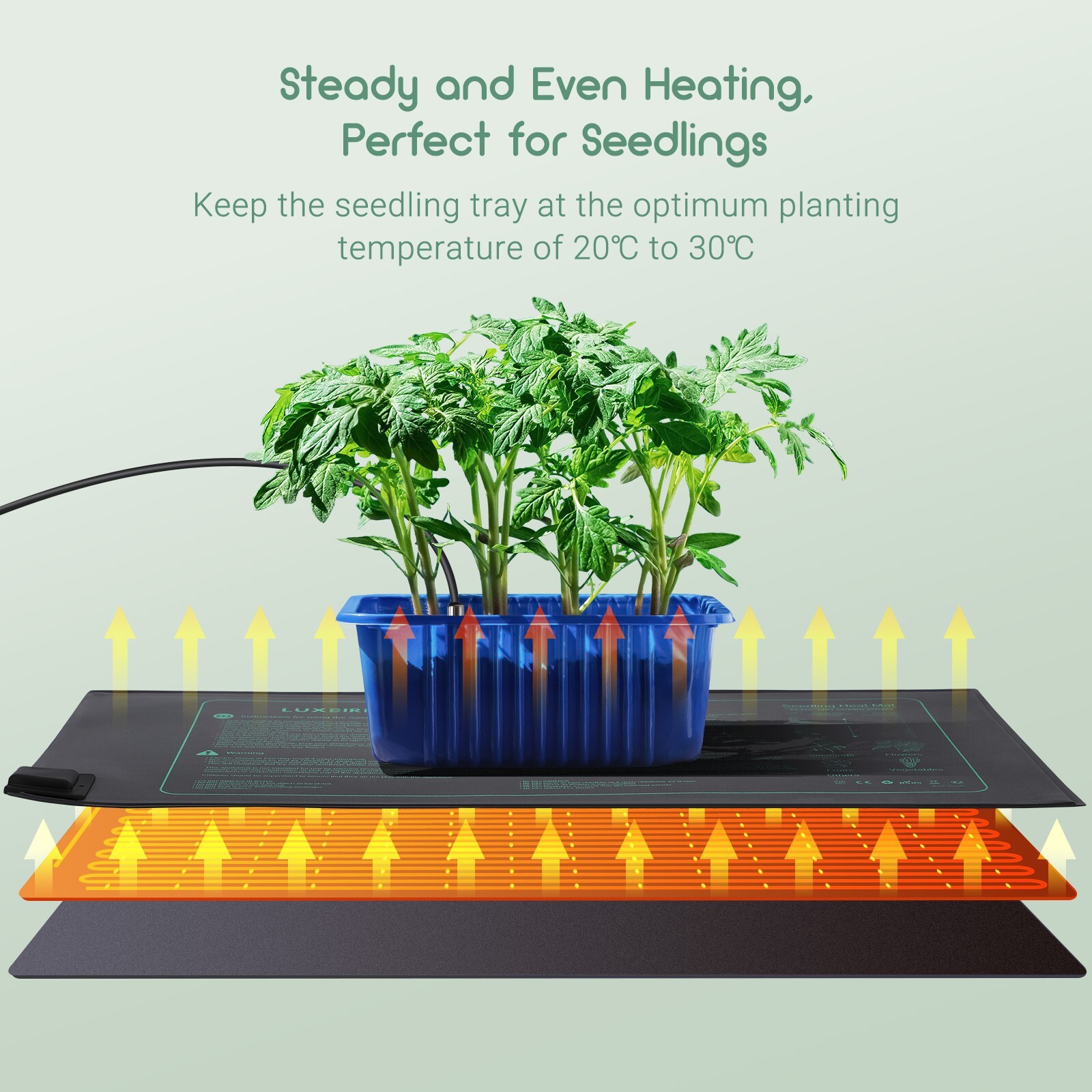 Seedling Mat With Heat Controller Germination MET Certified Plants Heating Pad
