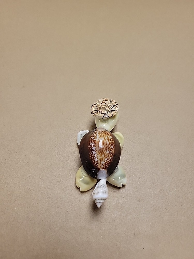 Handmade Seashell Turtle Tortoise Shell with Wire Glasses Hat