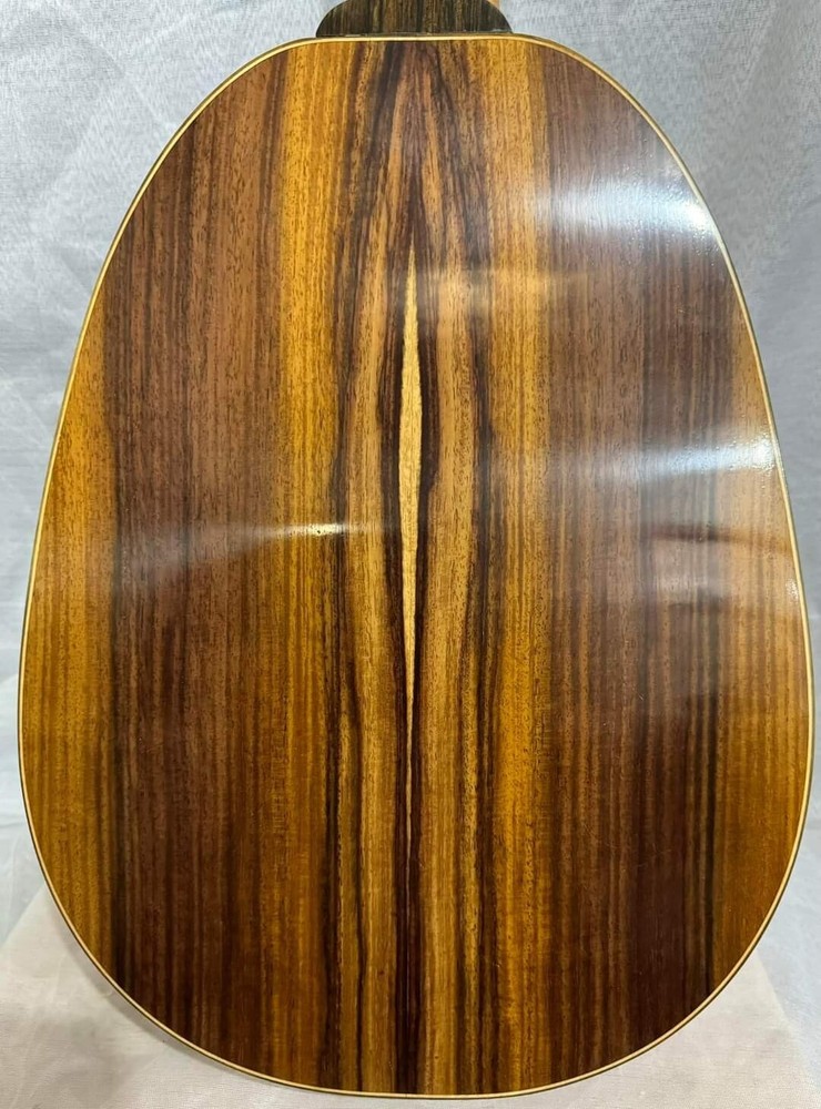 Blueberry Handmade Ten String Classical Nylon String Guitar Built to Order