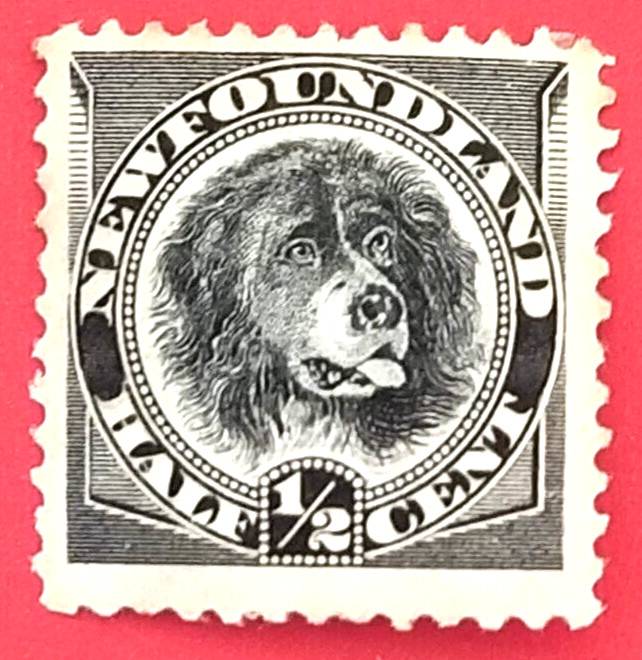 Canada Newfoundland 58 Newfoundland Dog MH