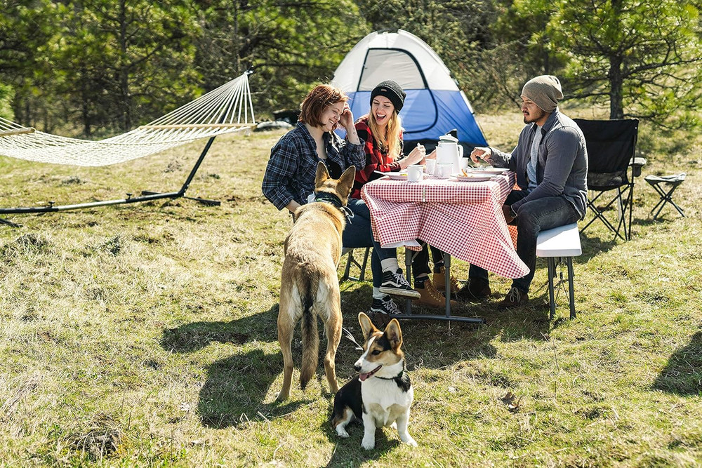 Stansport Picnic Table Cloth with Clamps Combo Pack - Rectangle - Polyurethane -