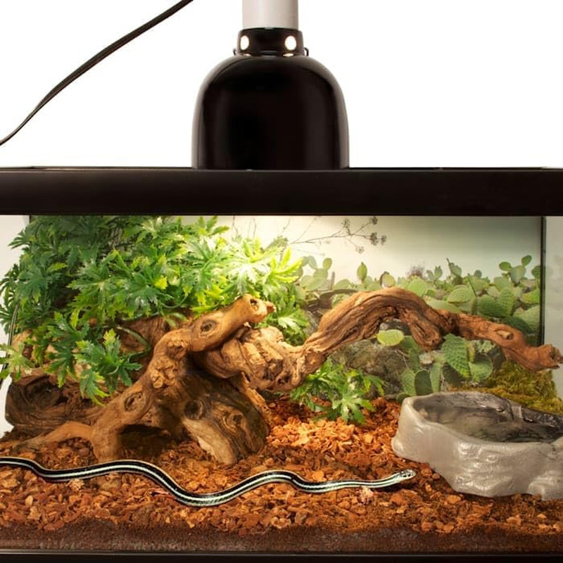 Premium Reptile Bark, 24Qt