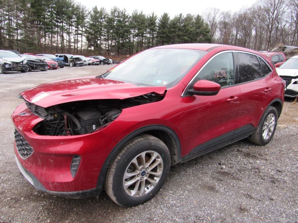 ESCAPE 2020 Glove Box 1018782