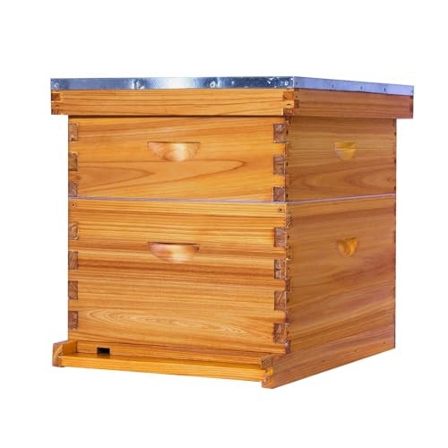 10-Frame Bee Hive Complete Beehive Kit Beeswax Coated Beehive Include Frames