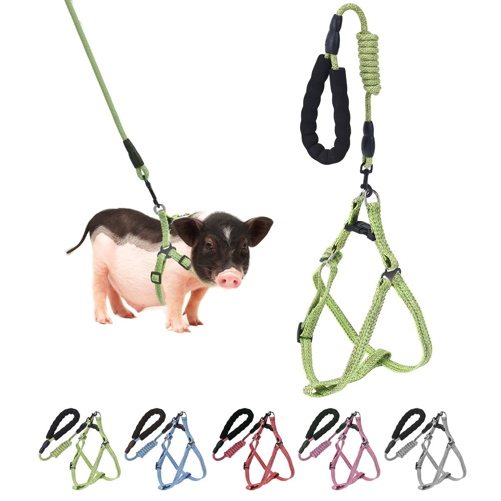 Mini Pig Harness, Adjustable Small Harness with Leash Infinity S, Green