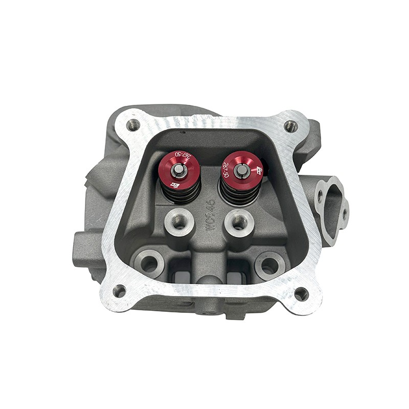 Wc946 18Cc Big Valve 31/25 Head With 26# Springs WC946-2