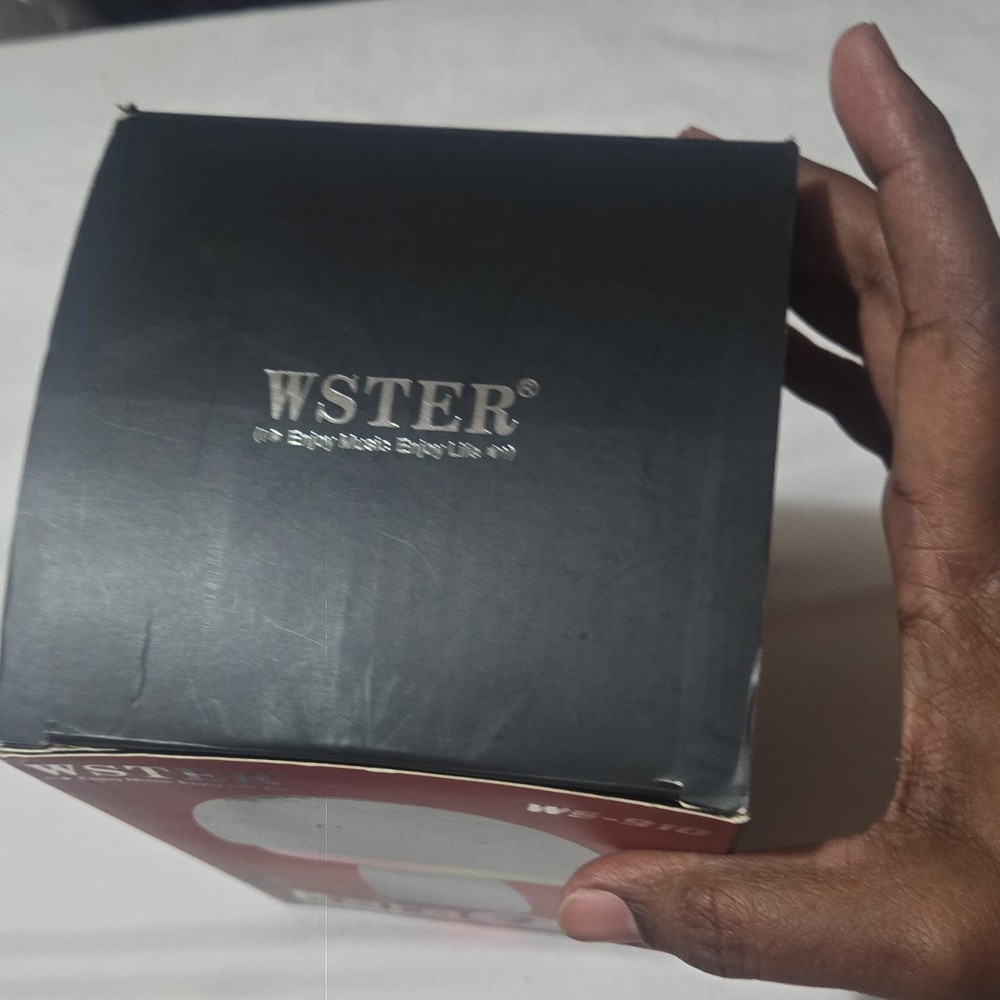 WSTER WS-910 Wireless Karaoke Microphone Speaker, Disco Light, Multicolor