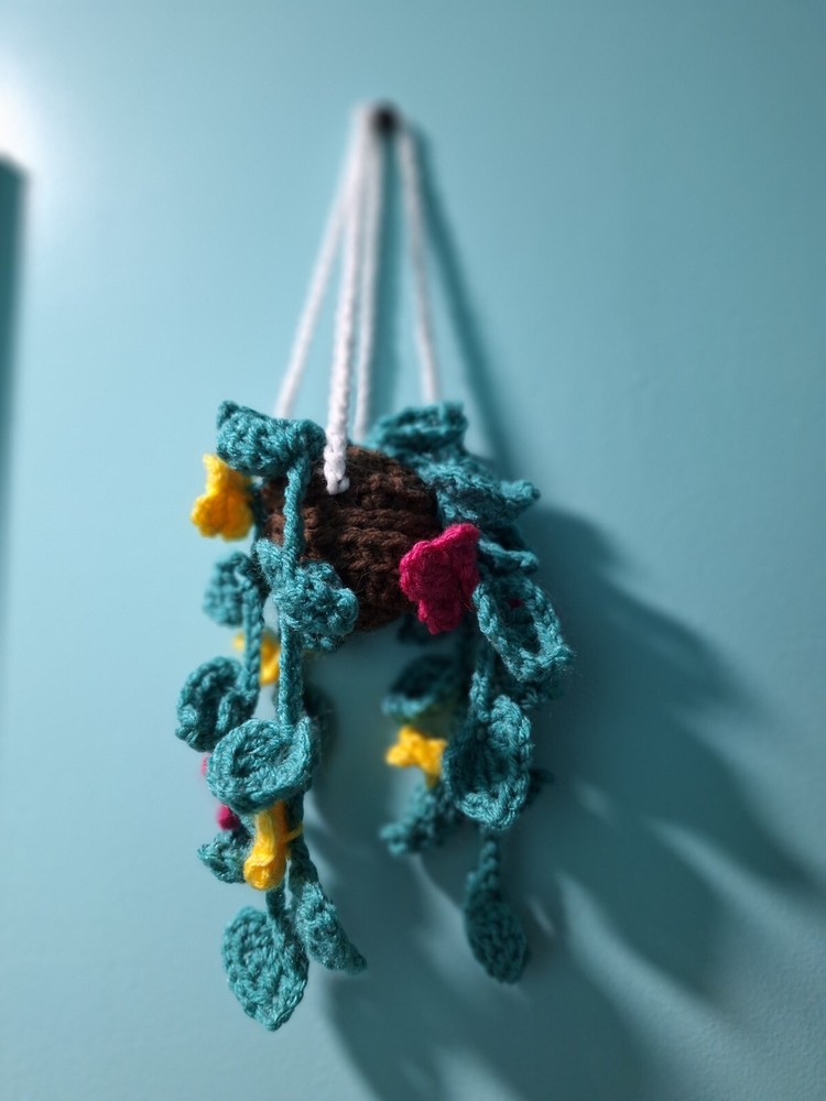 Hanging Crochet Plant
