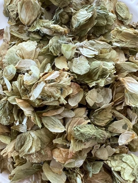 Whole Leaf Hops - Cascade - Home Brewing or Tea (one pound package)