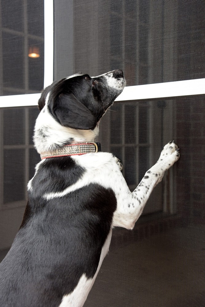 Window Screen Frame Replacemetnt Kit w/ PET Screen Mesh 35" x 35"