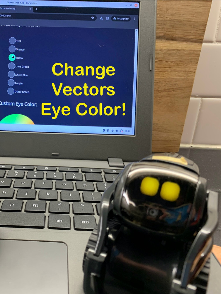 Anki Vector WirePod (For Hosting Vector) | Bring Vector Back To Life! *SEE DESC*