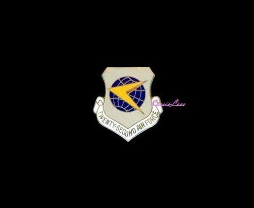 USAF 22nd Air Force Shield  + a custom promo pin