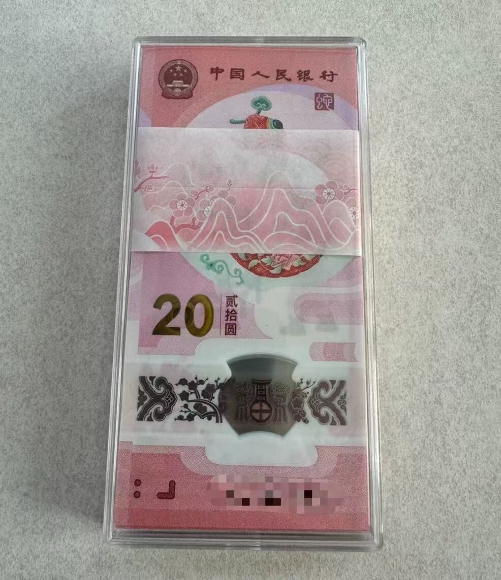 2025 China 20 YUAN Paper Money Lunar Series New Year Snake Plastics Banknotes/1