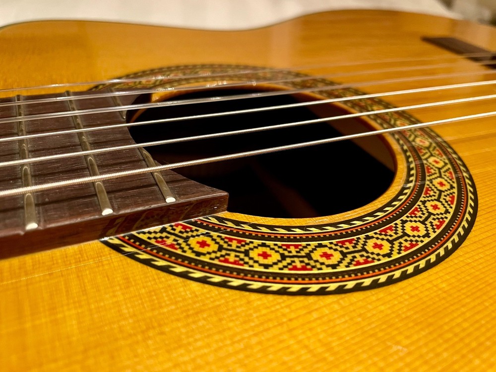 Takamine Classical Nylon String Guitar Model TC132SC