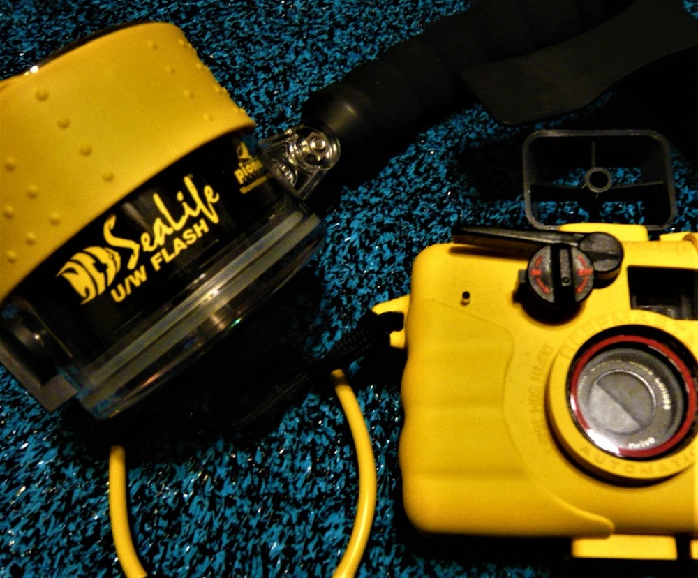 ReefMaster Underwater Camera Photography w/ External Flash and Case. NEW !