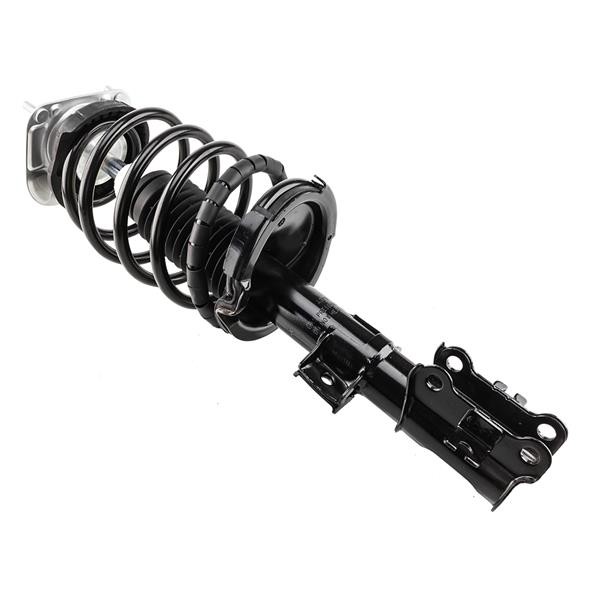 complete strut assembly