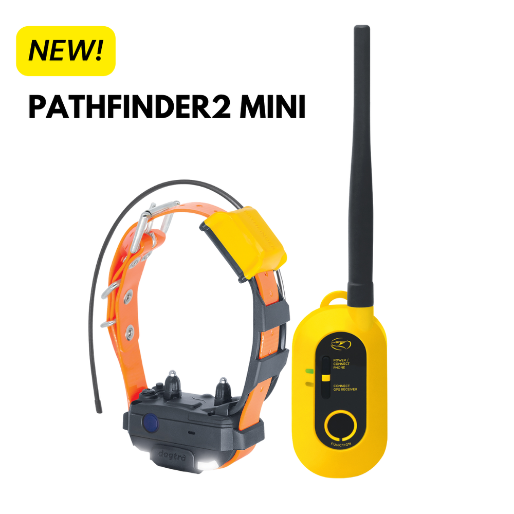 Dogtra PATHFINDER2 MINI GPS Tracking + Training E-Collar SmartPhone Control