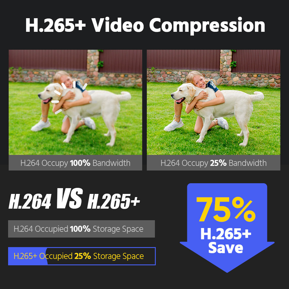 ANNKE ANP1600 12MP 16CH NVR POE Video Recorder Human Detection H.265+