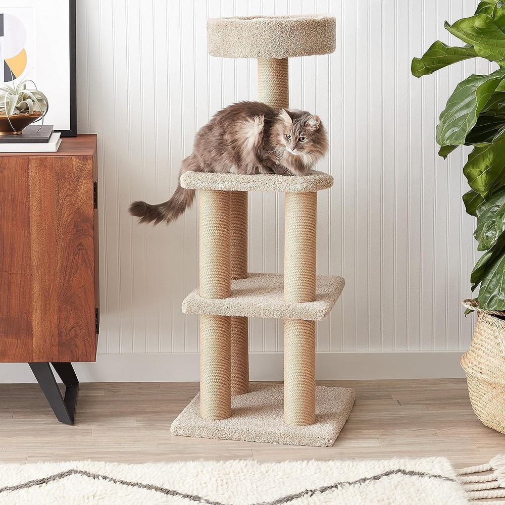 Cat Tree Indoor Cat & Kittens Multi-Level Climbing Activity Tower W/ Scratching