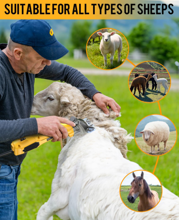 Tijeras Eléctricas Profesionales 600W para Esquilar Ovejas Cabras Alpacas, Nuevo