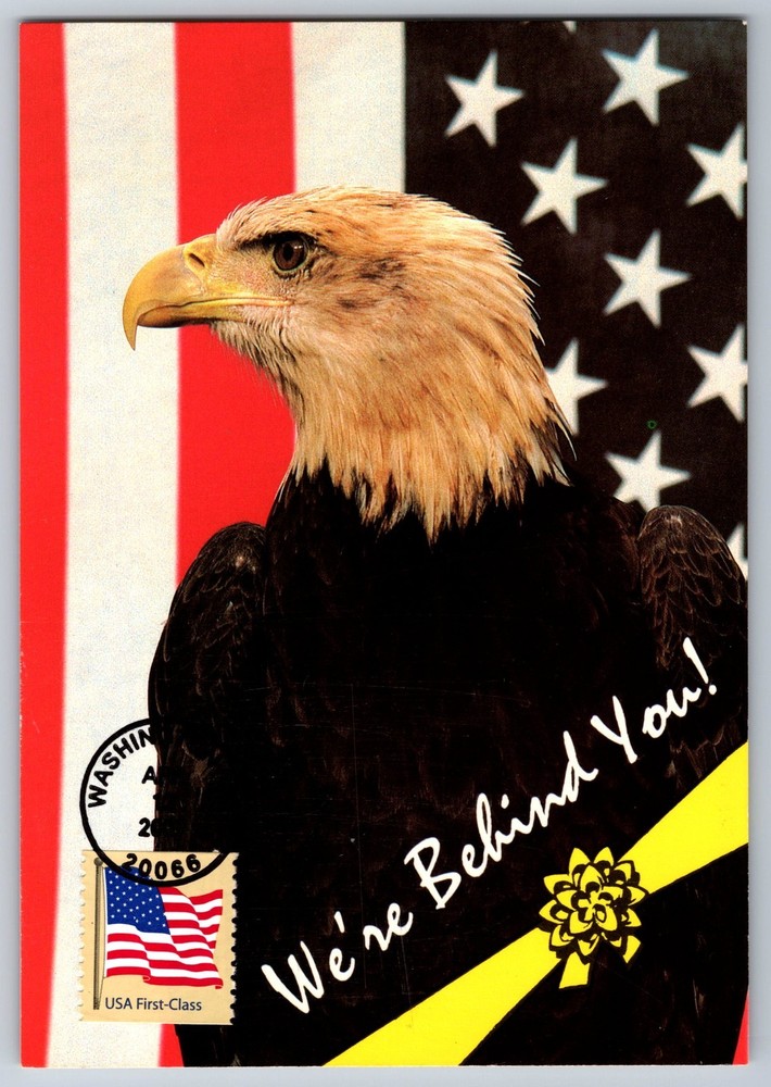#4133 US Flag Coil FDC Maxi Card