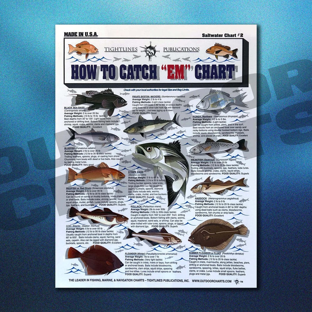 Saltwater Chart Set