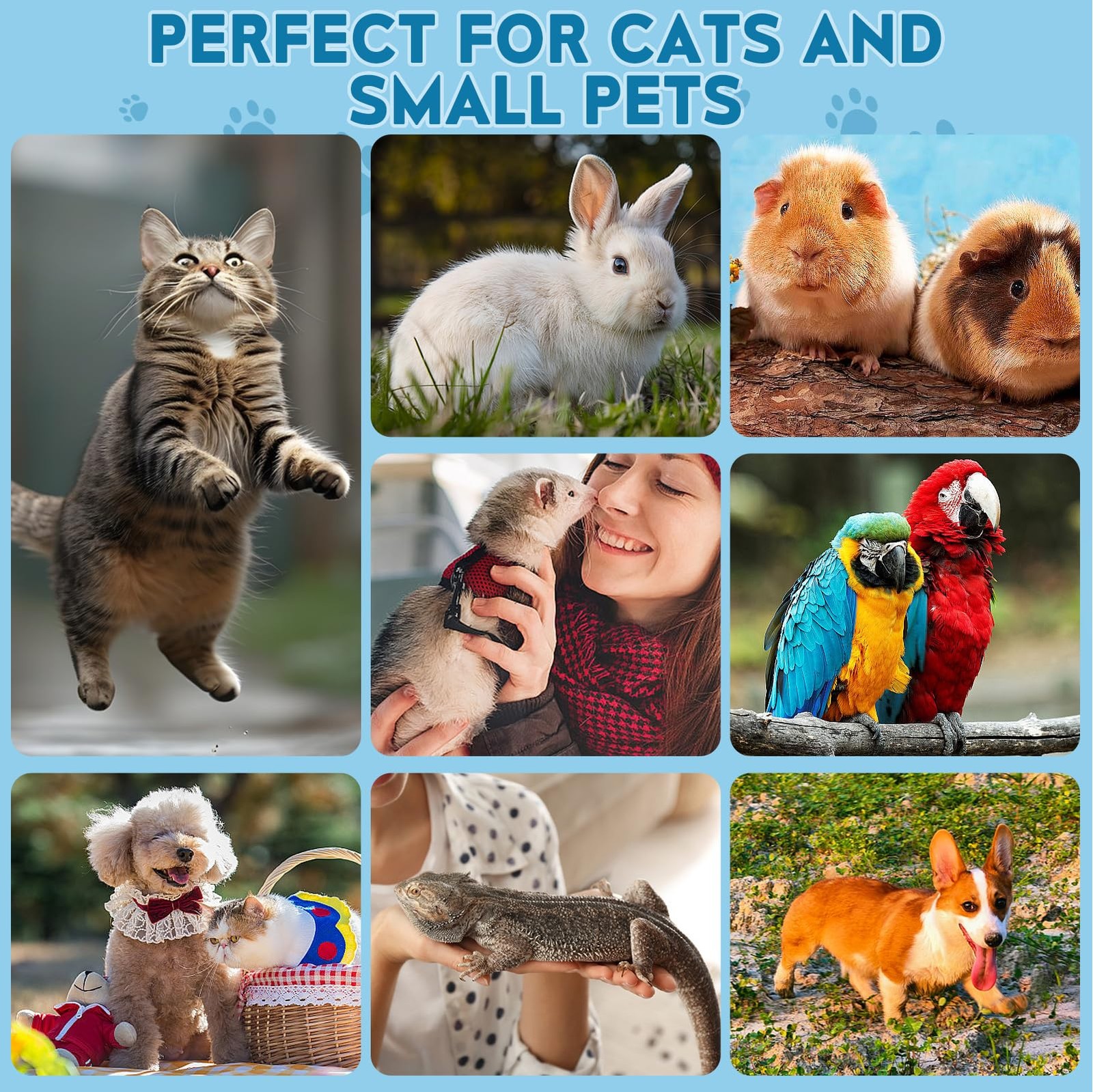 FJCTER Cat Nail Clippers, Professional Pet Claw Clippers for Indoor Cats,