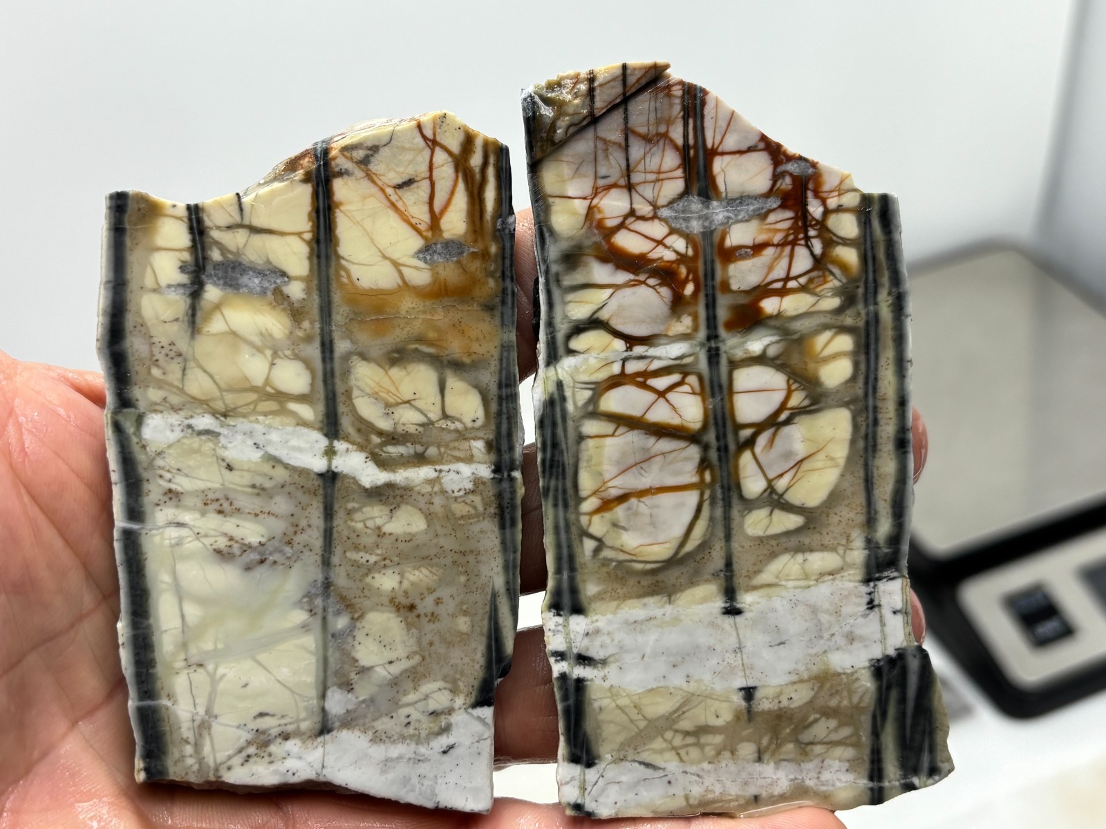 Picasso Marble (Jasper) Slabs Cabbing Lapidary Utah Combo Ship Avail