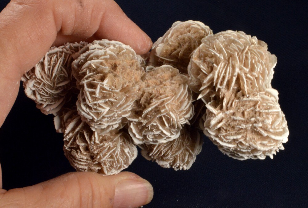 #8862 Selenite "Desert Rose" - Mexico