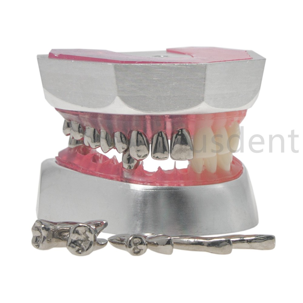 Dental Teeth Model With Restoration Learning and Teaching Demonstrate M6004