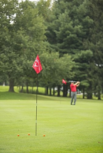 Backyard Driving Range Golf Flags For Yard, 6.5 Ft., 2 Pack